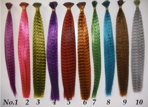 Feather Hair Extension